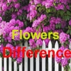 Jeu Spot Difference – Flowers en plein ecran