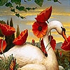 Jeu Swan and flowers slide puzzle en plein ecran