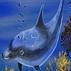 Jeu Sweet dolphins in the ocean puzzle en plein ecran