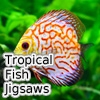 Jeu Tropical Fish Jigsaw Tournament en plein ecran