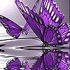 Jeu Violet butterflies slide puzzle en plein ecran