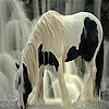 Jeu Waterfall and horse slide puzzle en plein ecran