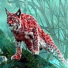 Jeu Wild lynx in the woods puzzle en plein ecran