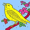 Jeu Yellow hungry canary coloring en plein ecran