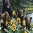 Bear family and flowers puzzle