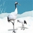 Black storks and snows slide puzzle