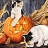 Cats on the halloween slide puzzle