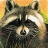Dizzy raccoon slide puzzle