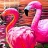 Flamingos in the seaside puzzle