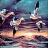 Flying birds at night slide puzzle