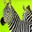 Green safari zebras puzzle