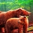 Hungry grizzly bears puzzle