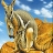 Kangaroos in the mountains slide puzzle
