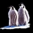 Penguins on the ice slide puzzle