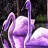 Purple swans in the lake puzzle
