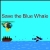 Save the Blue Whale