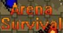 Jeu Arena Survival