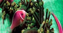 Jeu Colorful sea fishes puzzle
