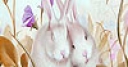 Jeu Cute bunnies hidden numbers
