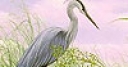 Jeu Heron in the lake puzzle