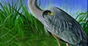 Jeu Heron in the reeds slide puzzle