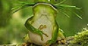Jeu Hungry green frog slide puzzle