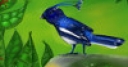 Jeu Jigsaw: Fabulous Birds 1