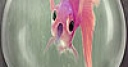 Jeu Pink fish on the lantern slide puzzle