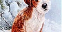 Jeu Red dog in the snow slide puzzle