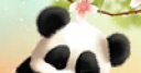 Jeu Sleepy Panda