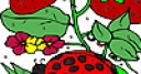 Jeu Strawberry garden coloring