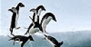 Jeu The floating penguins slide puzzle