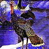 Jeu Alone pheasant in the woods puzzle en plein ecran