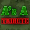 Jeu America’s Army tribute by flashgamesfan.com en plein ecran