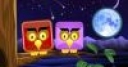 Jeu Angry Owls