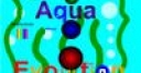 Jeu Aqua Evolution