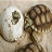 Baby turtles slide puzzle