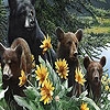 Jeu Bear family and flowers puzzle en plein ecran