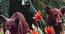 Jeu Bear family in the jungle slide puzzle