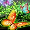 Jeu Beautiful butterflies puzzle en plein ecran