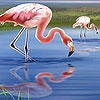 Jeu Beautiful flamingos puzzle en plein ecran