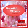 Jeu Beautiful Flowers – Find The Numbers en plein ecran