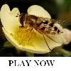 Jeu Bee on flower Jigsaw Puzzle en plein ecran