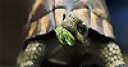 Jeu Big hungry turtle slide puzzle