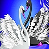 Jeu Black and white swans slide puzzle en plein ecran