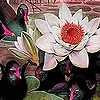 Jeu Black ducks and lotus puzzle en plein ecran