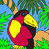 Jeu Black parrot on the palm tree coloring en plein ecran