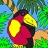Black parrot on the palm tree coloring