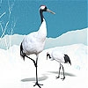 Jeu Black storks and snows slide puzzle en plein ecran