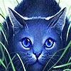 Jeu Blue cat in the garden  puzzle en plein ecran
